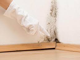 Professional Mold Inspection in Rockfish, NC